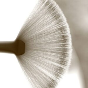 Facial Fan Brush